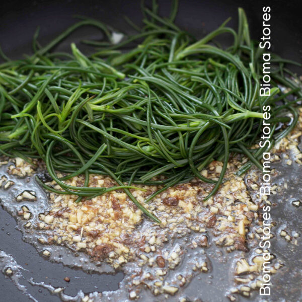 φυτά αλμύρας αλμυρίκι agretti www.biomastores.gr 4
