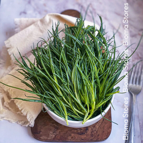 φυτά αλμύρας αλμυρίκι agretti www.biomastores.gr 4.