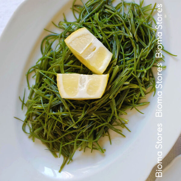 φυτά αλμύρας αλμυρίκι agretti www.biomastores.gr 6