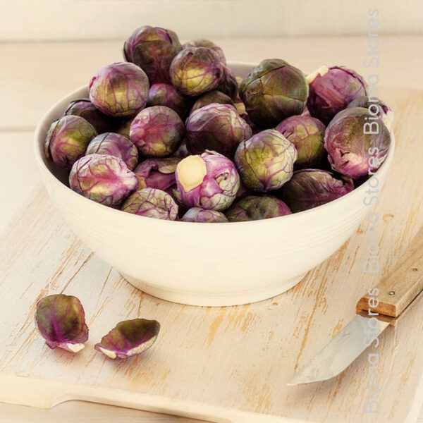 φυτά λαχανάκι Βρυξελλών rubine www.biomastores.gr 2