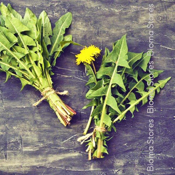βότανα ταραξάκος biomastores.gr 9
