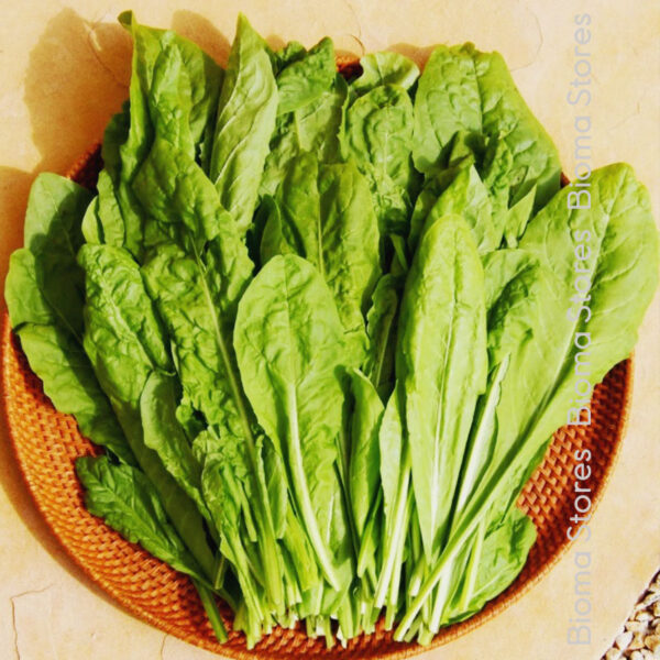 φυτά ιταλικό ραδίκι spadona www.biomastores.gr 3