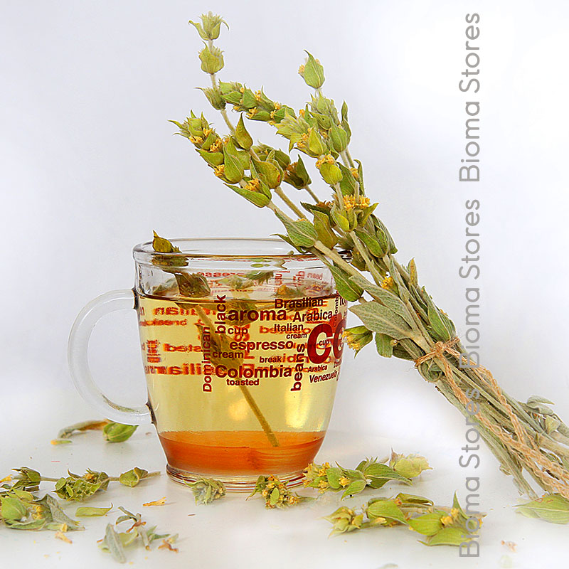 Τσάι-Παρνασσού-Sideritis-raeseri-biomastores.gr-1 Παρνασσού Sideritis raeseri biomastores.gr 1