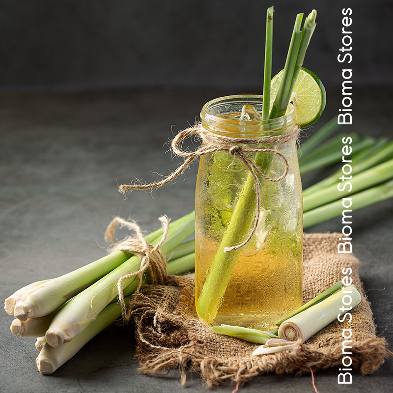 βιολογικά-φυτά-lemon-grass-λεμονόχορτο-www.biomastores.gr-9 φυτά lemon grass λεμονόχορτο www.biomastores.gr 9