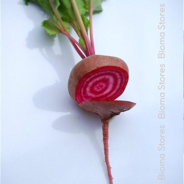 σπόροι παντζαριού chioggia www.biomastores.gr 2
