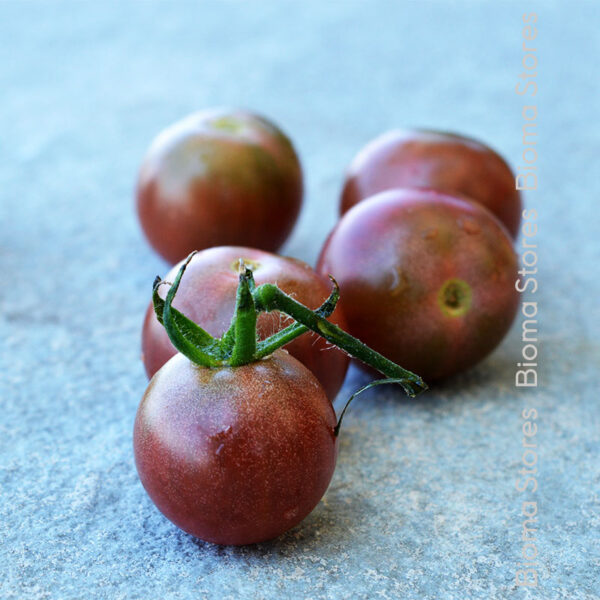 φυτά τσέρυ black cherry www.biomastores.gr 2