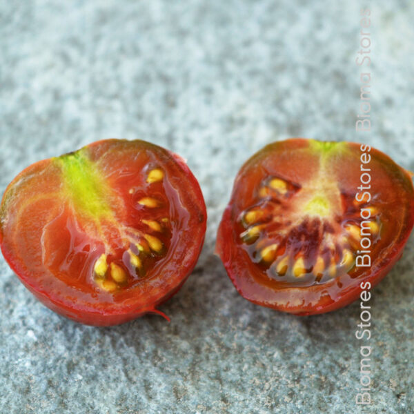φυτά τσέρυ black cherry www.biomastores.gr 4