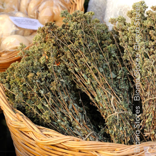 φυτά Ελληνικής ρίγανης www.biomastores.gr 7