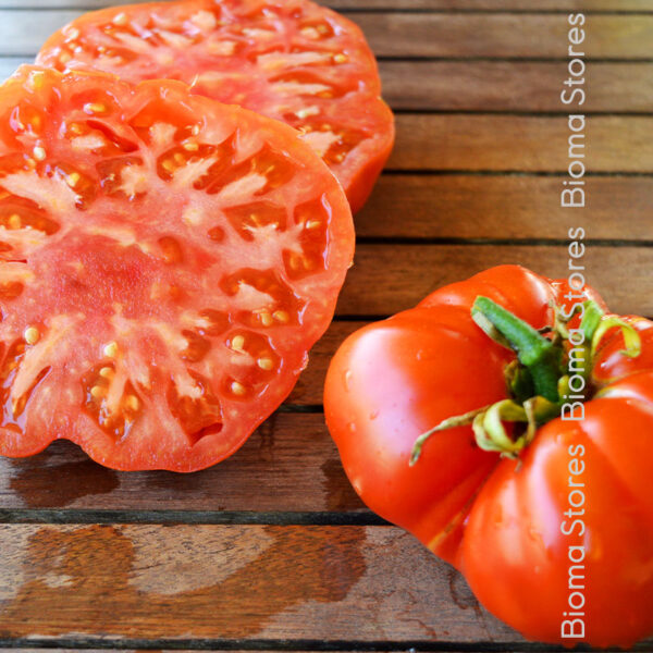 φυτά τομάτας μπατάλα βαυρώνας www.biomastores.gr 3