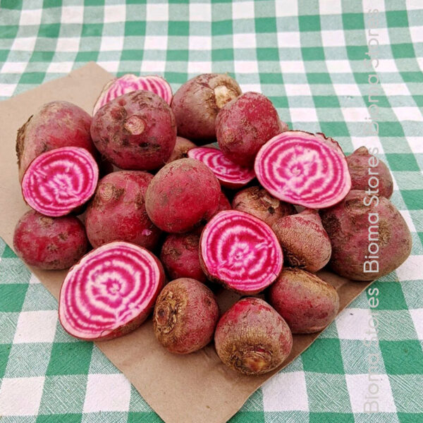 φυτά παντζαριού Chioggia www.biomastores.gr 4