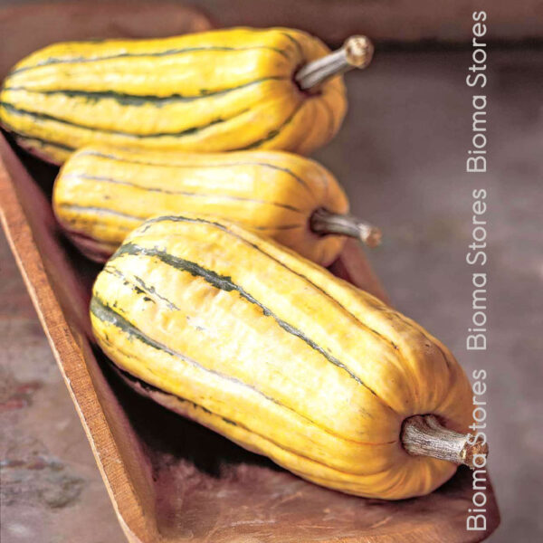 σπόροι κολοκύθας sweet potato www.biomastores.gr 1