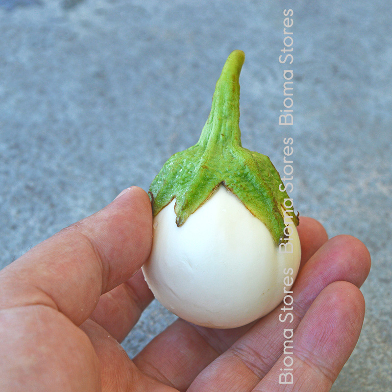 λευκό αυγό biomastores.gr 4