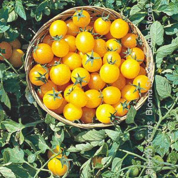 Clementine www.biomastores.gr 4