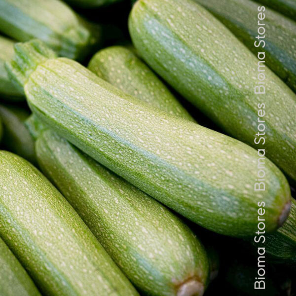 σπόροι κολοκυθάκι zucchini www.biomastores.gr 2
