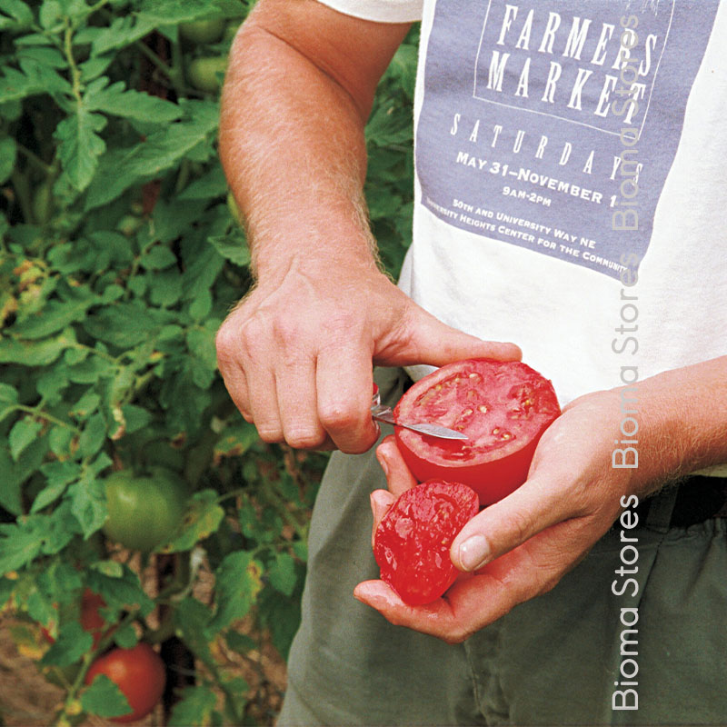 βιολογικοί-σπόροι-τομάτας-joie-de-la-table-www.biomastores.gr-2 σπόροι τομάτας joie de la table www.biomastores.gr 2