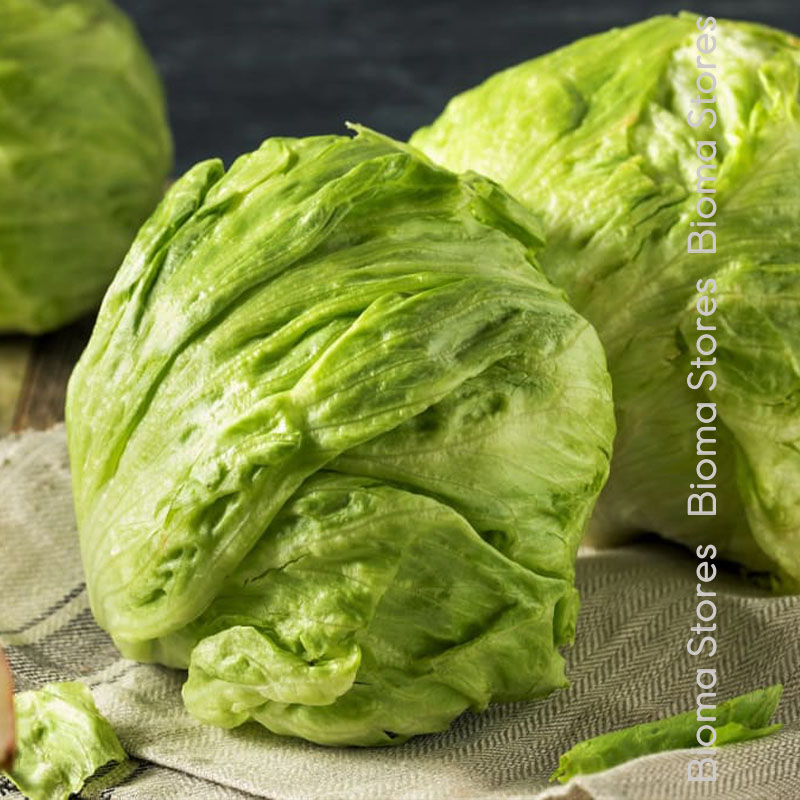 βιολογικά-φυτά-μαρουλιού-medimo-www.biomastores.gr-2 φυτά μαρουλιού medimo www.biomastores.gr 2