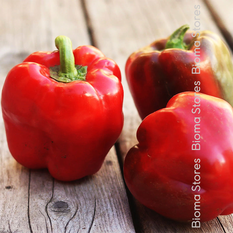 βιολογικοί-σπόροι-γεμιστής-πιπεριάς-bull-nose-www.biomastores.gr-1 σπόροι γεμιστής πιπεριάς bull nose www.biomastores.gr 1 1