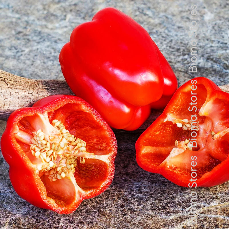 βιολογικοί-σπόροι-γεμιστής-πιπεριάς-bull-nose-www.biomastores.gr-3 σπόροι γεμιστής πιπεριάς bull nose www.biomastores.gr 3