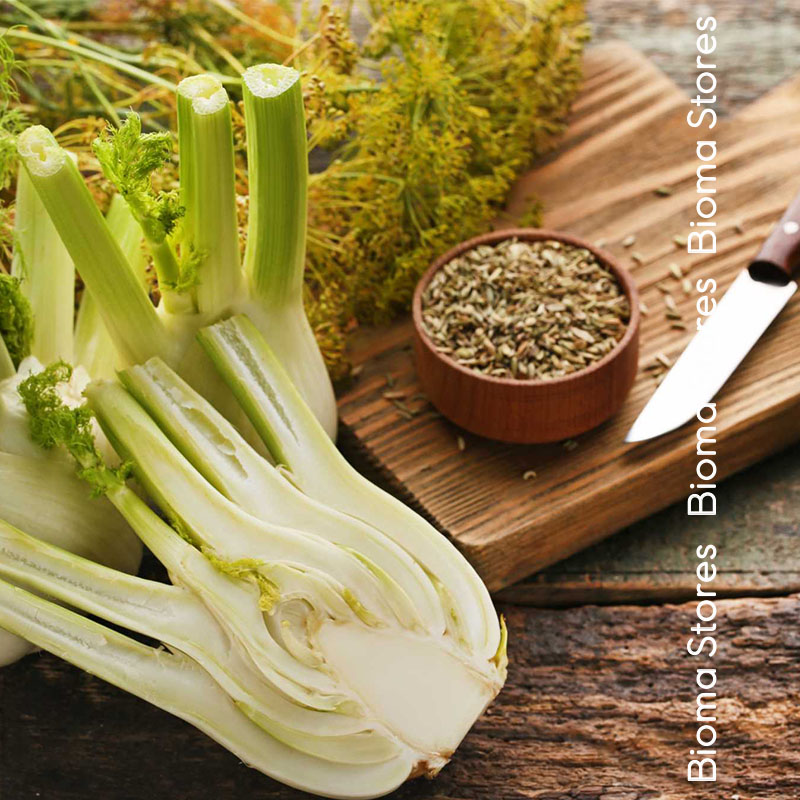βιολογικά-φυτά-φινόκιου-fino-www.biomastores.gr-3 φυτά φινόκιου fino www.biomastores.gr 3