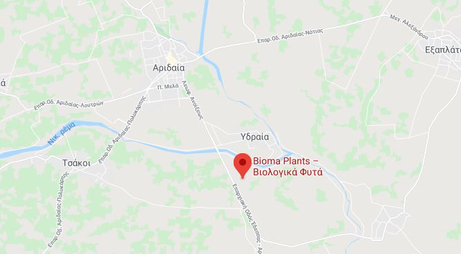 bioma google 1