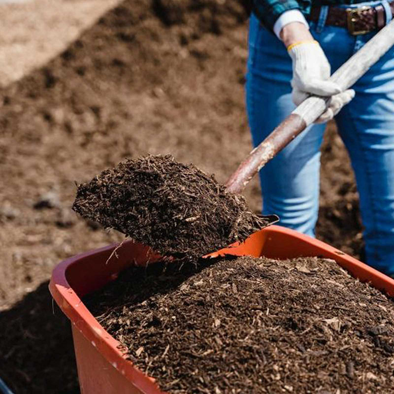 geo-RED-WORMS-skoulikia-gia-compost-www.biomastores.gr-4 geo RED WORMS skoulikia gia compost www.biomastores.gr 4