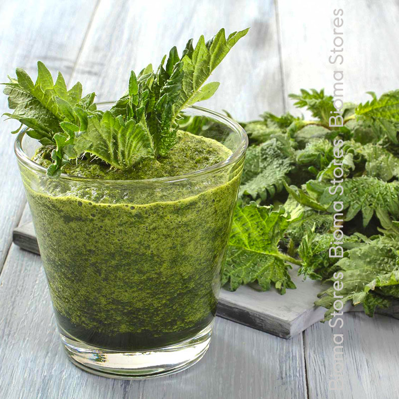 αρωματικά-βότανα-τσουκνίδα-biomastores.gr-6 βότανα τσουκνίδα biomastores.gr 6