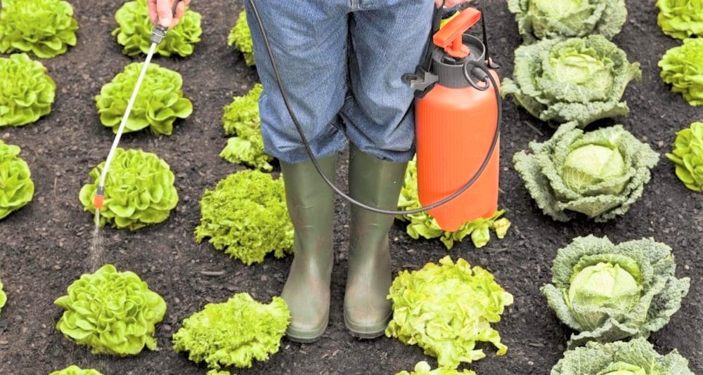 φυσικής προέλευσης.