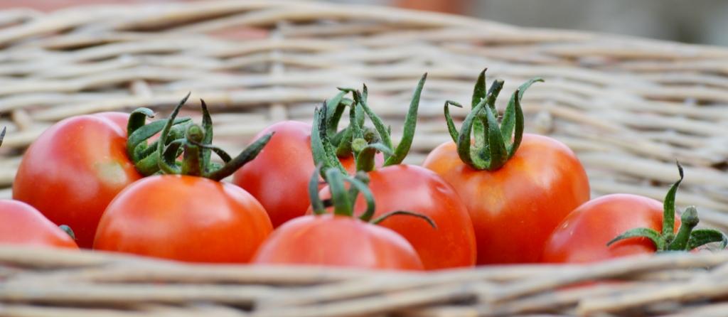 tomato