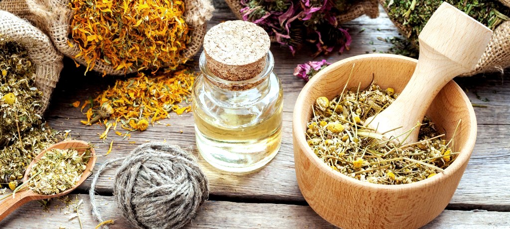 Ελλάδα είναι βοτανικός παράδεισος