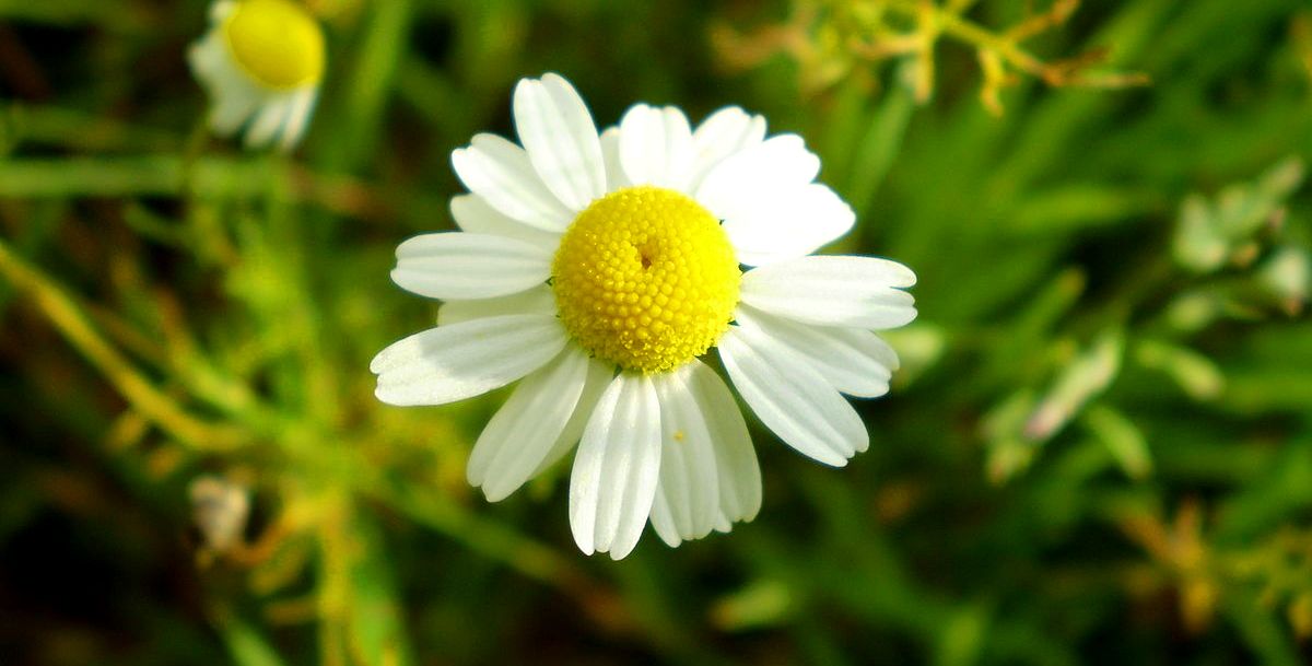 ιστορικά στοιχεία χρήσεις 1