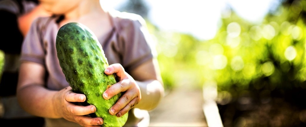 βιολογική καλλιέργεια στον κήπο μας biomastores.gr 3.