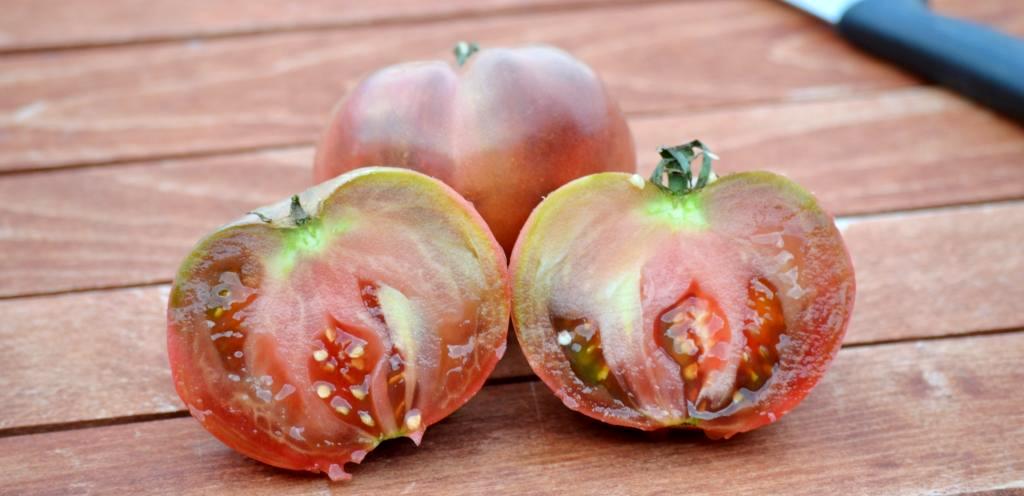 στοιχεία για την Τομάτα