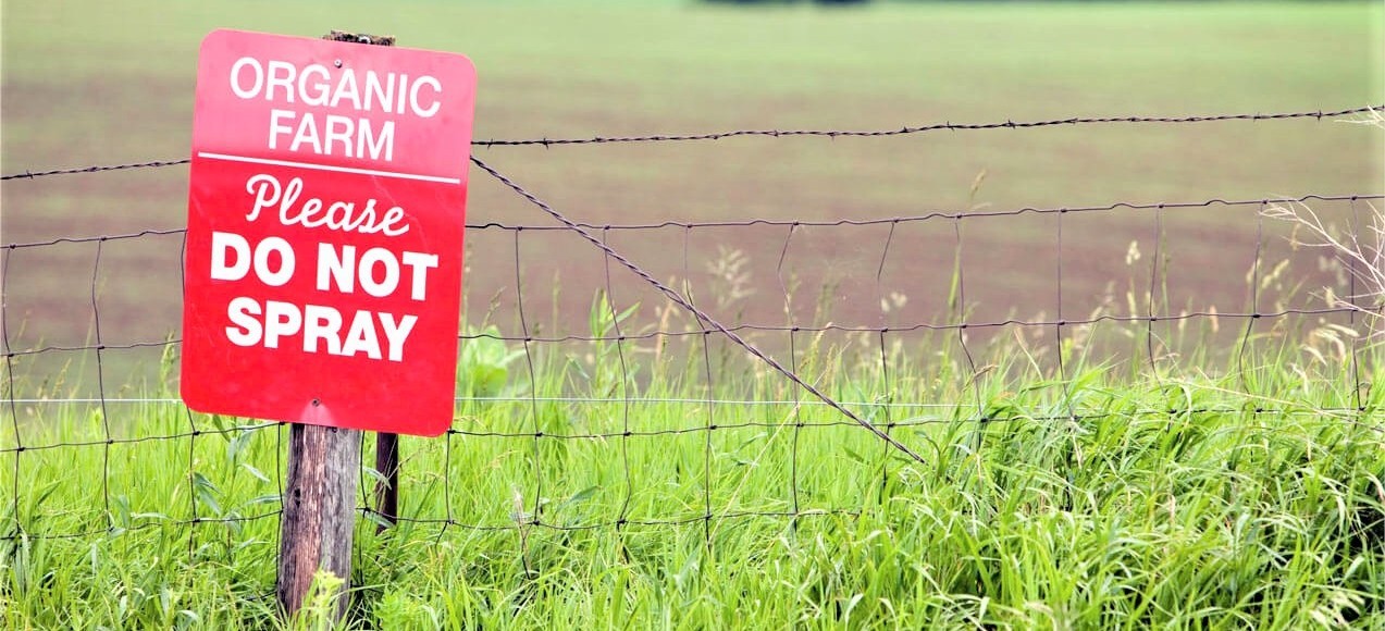 αντιμετώπιση των εχθρών και των ασθενειών στην βιολογική γεωργία 6