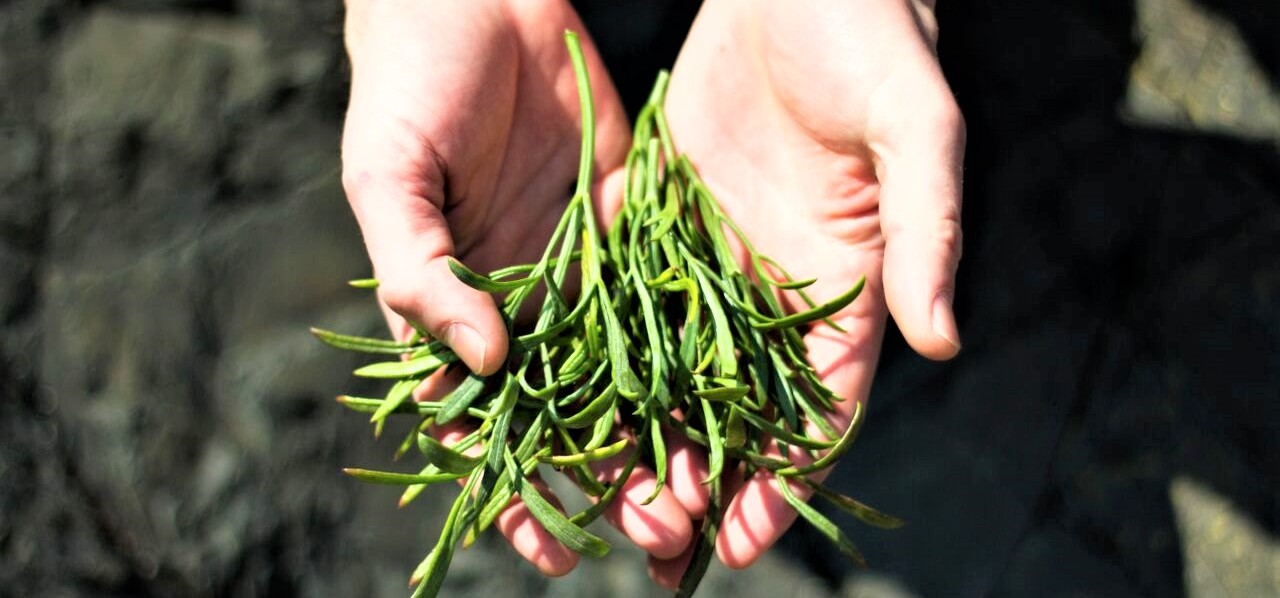 καλλιέργεια έρευνα αγορά bioma stores.1