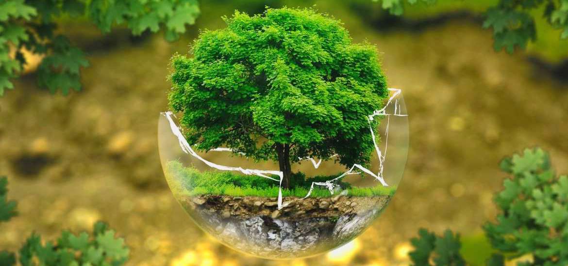 και λιπάσματα με απλά λόγια biomastores.gr .