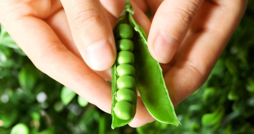 βιολογική καλλιέργεια