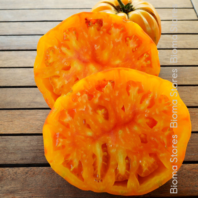 βιολογικά-φυτά-τομάτας-Ανανάς-www.biomastores.gr-2 φυτά τομάτας Ανανάς www.biomastores.gr 2