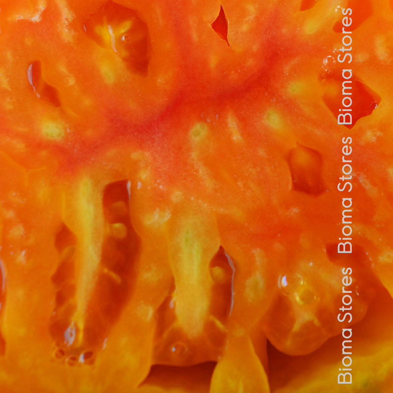 βιολογικά-φυτά-τομάτας-Ανανάς-www.biomastores.gr-3 φυτά τομάτας Ανανάς www.biomastores.gr 3