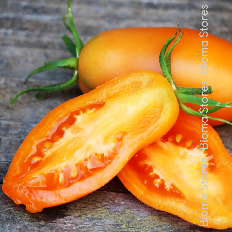 βιολογικοί-σπόροι-τομάτας-orange-banana-www.biomastores.gr σπόροι τομάτας orange banana www.biomastores.gr 1