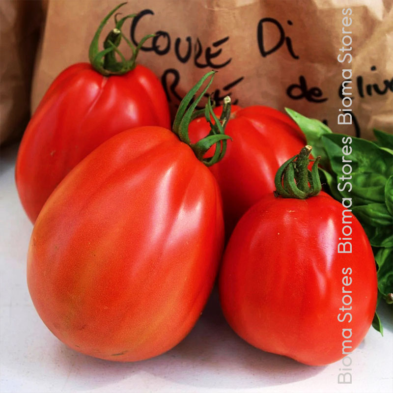 βιολογικά-φυτά-τομάτας-albenga-www.biomastores.gr-1. φυτά τομάτας albenga www.biomastores.gr 1.