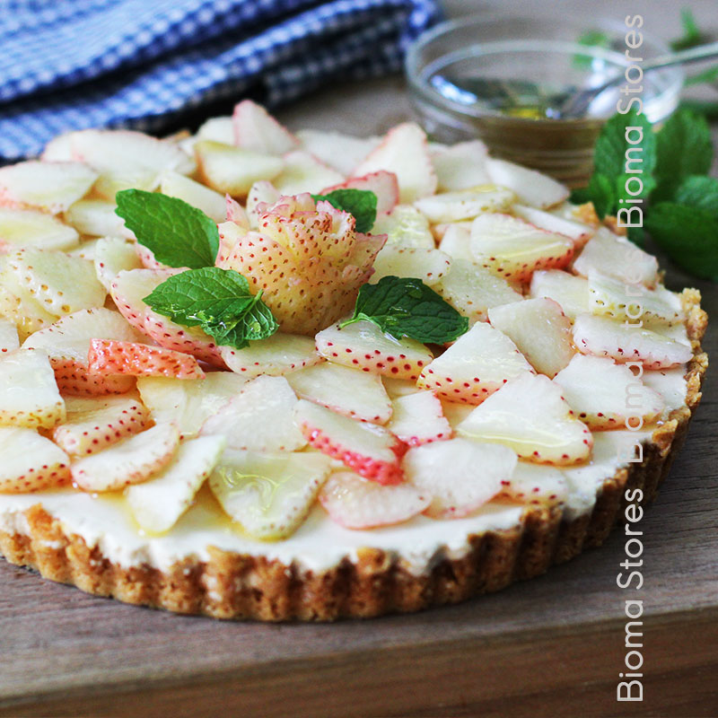 βιολογικά-φυτά-φράουλας-Snow-White-www.biomastores.gr-7 φυτά φράουλας Snow White www.biomastores.gr 7