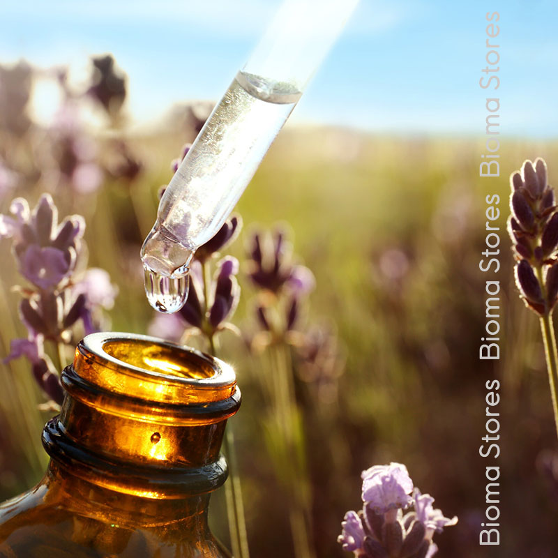 Βιολογικά-φυτά-γνήσιας-λεβάντας-www.biomastores.gr-5 φυτά γνήσιας λεβάντας www.biomastores.gr 5