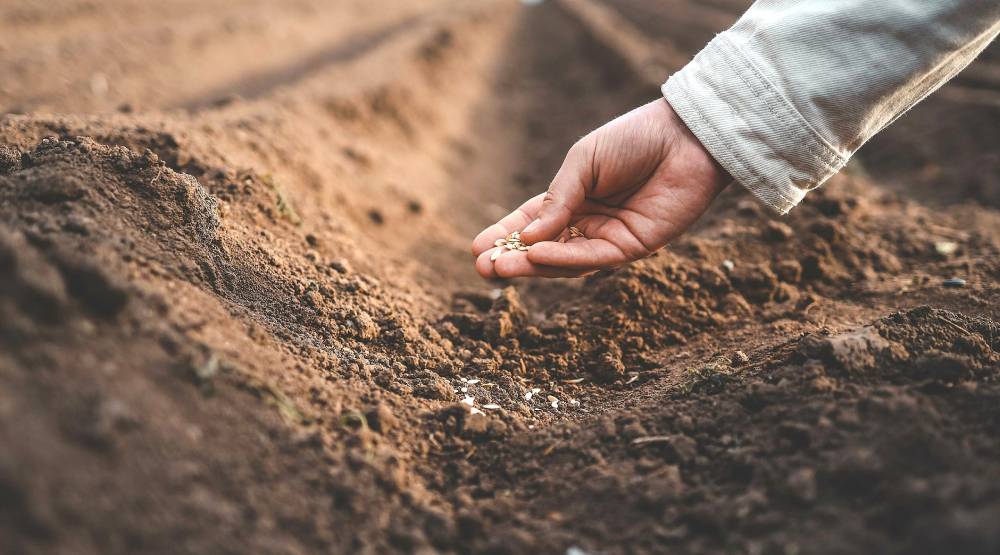 Βιολογικοί Σπόροι