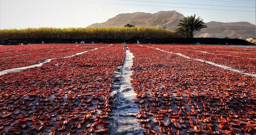 Η τέχνη της λιαστής τομάτας 11 Sundried Tomatoes in Luxor
